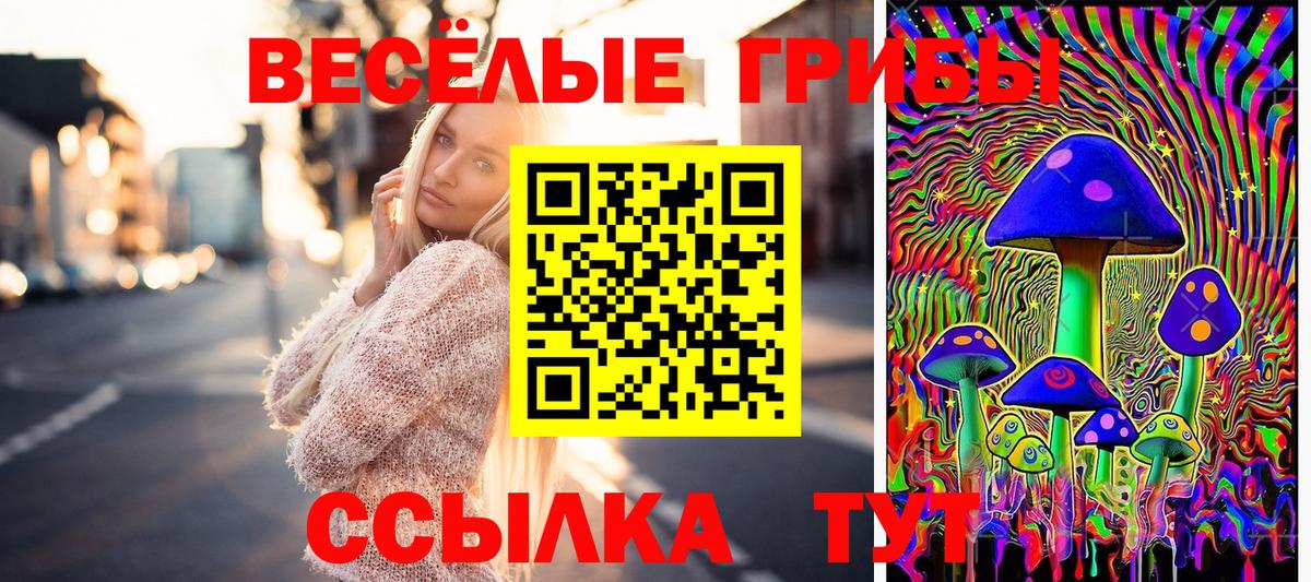 Псилоцибиновые грибы Cubensis Лабытнанги